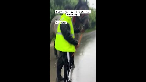 funny videos