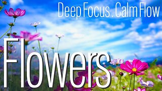 Music Mode - 4K Flowers and Fields - For RELAXATION AND STUDYING