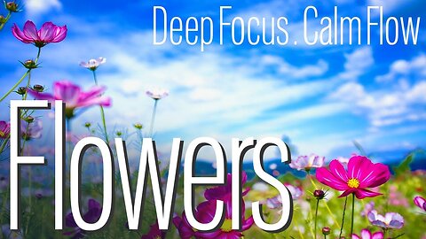 Music Mode - 4K Flowers and Fields - For RELAXATION AND STUDYING