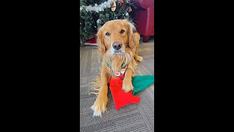 Don't watch - this video is about nothing!