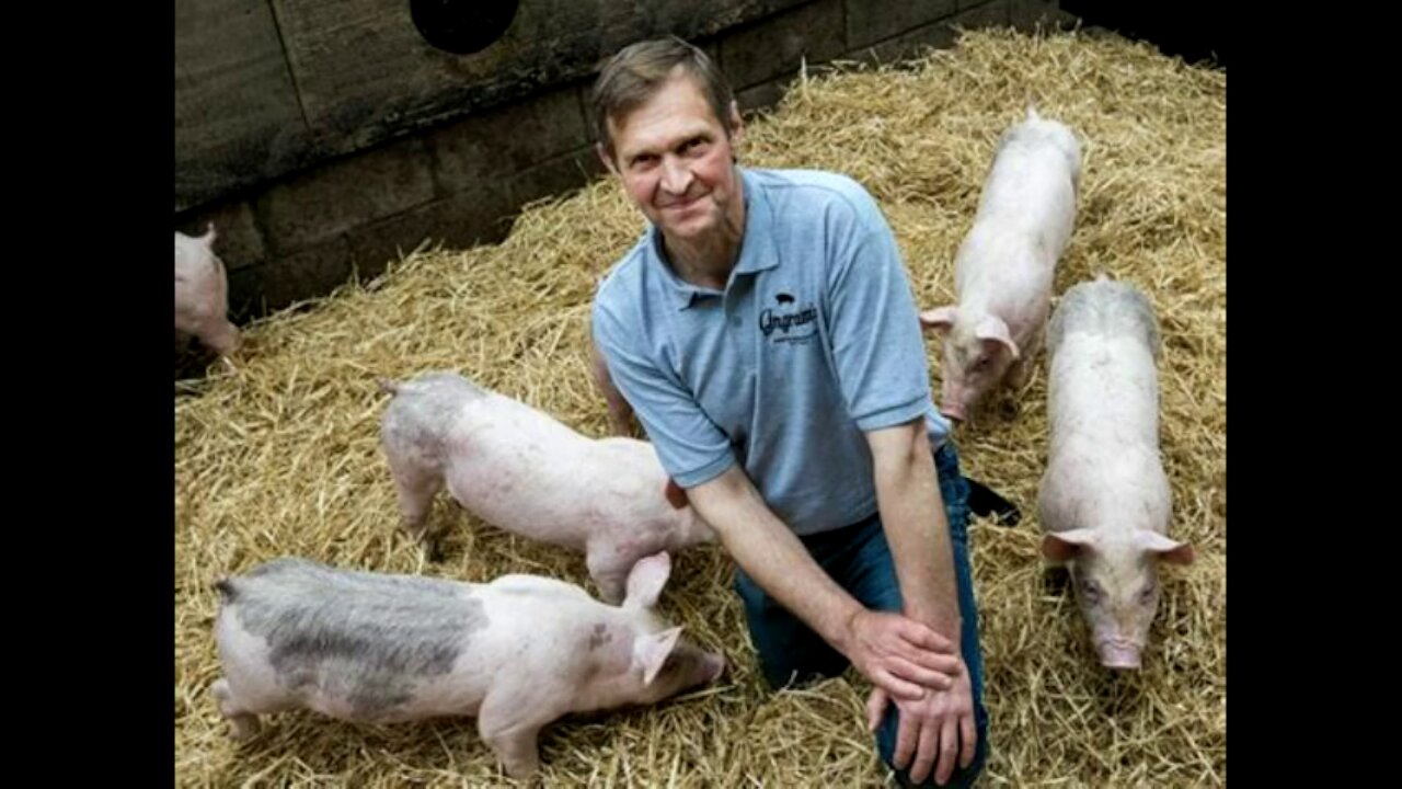 The Pig Squealor spends a day at the local Livestock Auction! #soundboard