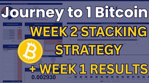My Journey to 1 Bitcoin Begins Ep. 2 | How I'm Using a Strategic Budget to Stack BTC Weekly