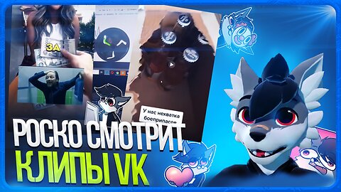 🐺 Роско смотрит ВК Клипы | ЧАСТЬ 4