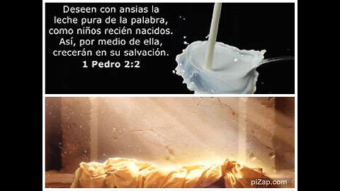 LECHE DE LA PALABRA DE DIOS-Resurrección: 1-1ª RESURRECCIÓN, 2-RESURRECCIÓN DE CRISTO, Stephen Jones