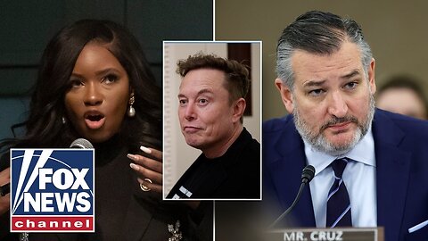 Dem roasted for attacking Musk goes after Ted Cruz: 'Knocked over the head!'