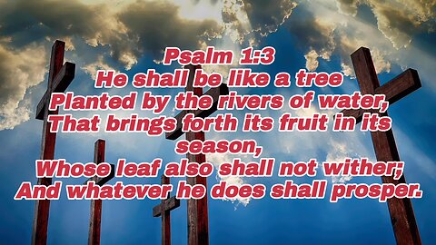 A Tree Planted By Streams Of Water - Psalms 1:3 - holy bible - bible study - bible verses