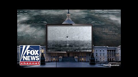 'They're not human': Watch government officials BREAK silence on non-human life