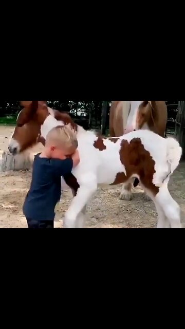 WAITING FOR ANSWERS TO PRAYER - DAILY DEVOTIONAL ❤️