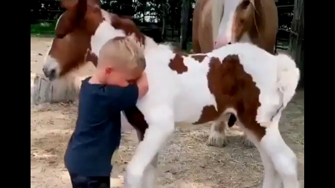 WAITING FOR ANSWERS TO PRAYER - DAILY DEVOTIONAL ❤️