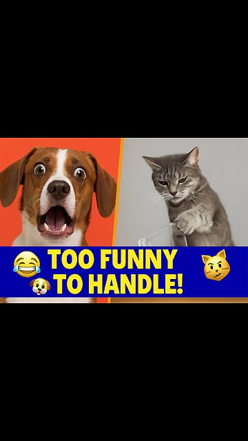 Animals Being Hilariously Dramatic – Try Not to Laugh! 😂🐶🐱