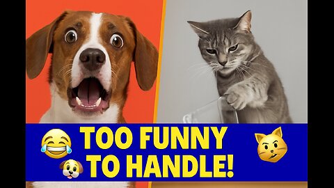 Animals Being Hilariously Dramatic – Try Not to Laugh! 😂🐶🐱