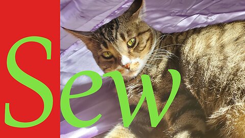 Sew Wednesday || Stitch & B*