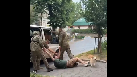 Un corgi intenta proteger a su dueño de la movilización en Ucrania