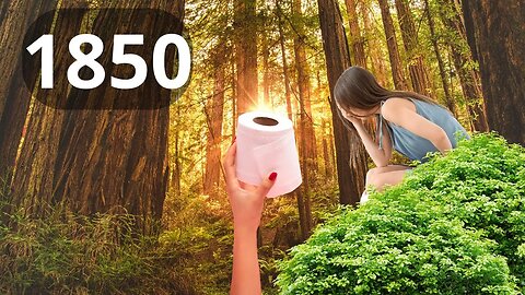 What was used before toilet paper? 