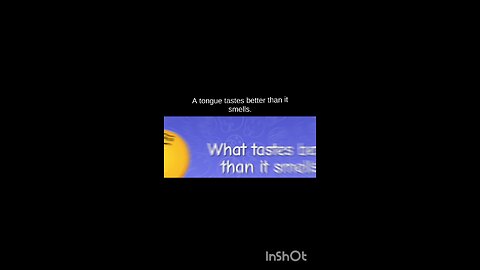 English riddles with answers