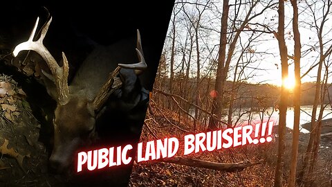Kentucky Public Land Deer Hunt | Late Fall Big Buck Harvest