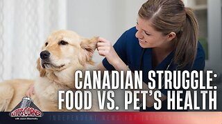 Canadians Avoid Taking Pets To Vet Clinics Due To Rising Costs