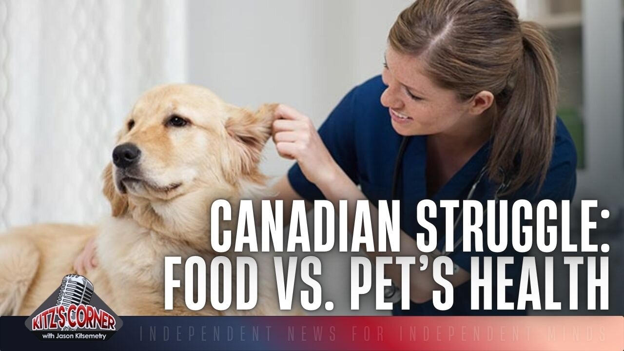 Canadians Avoid Taking Pets To Vet Clinics Due To Rising Costs