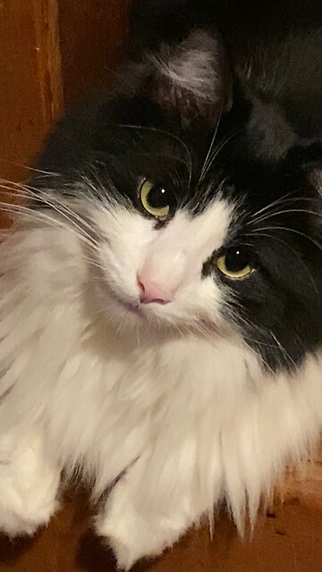 BANDY = THE SWEETEST PrettyBoy in the World!!🌎🥰