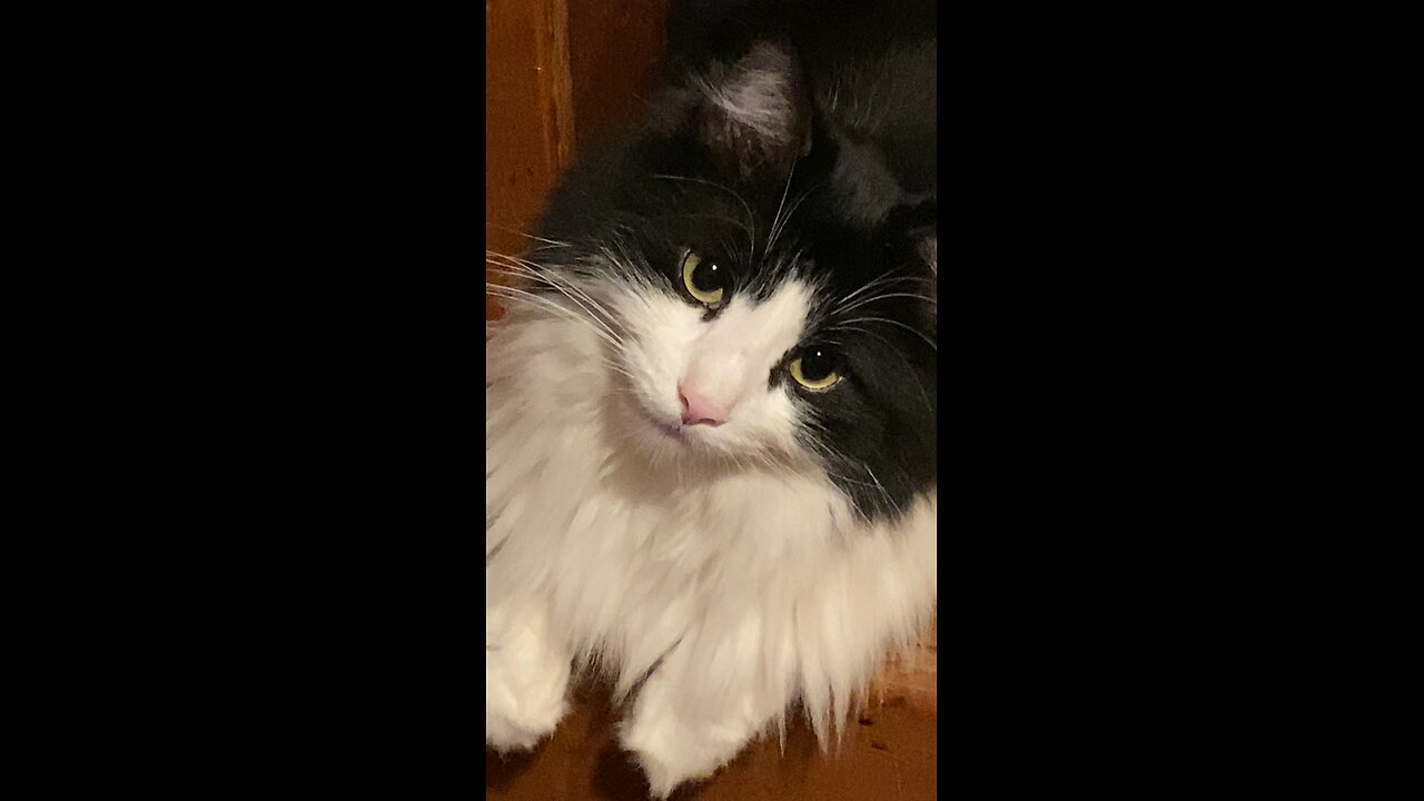 BANDY = THE SWEETEST PrettyBoy in the World!!🌎🥰