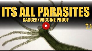 Dr LEE MERRITT & KAREN KINGSTON - Its All Parasites: Cancer / Vaccines / Remedies