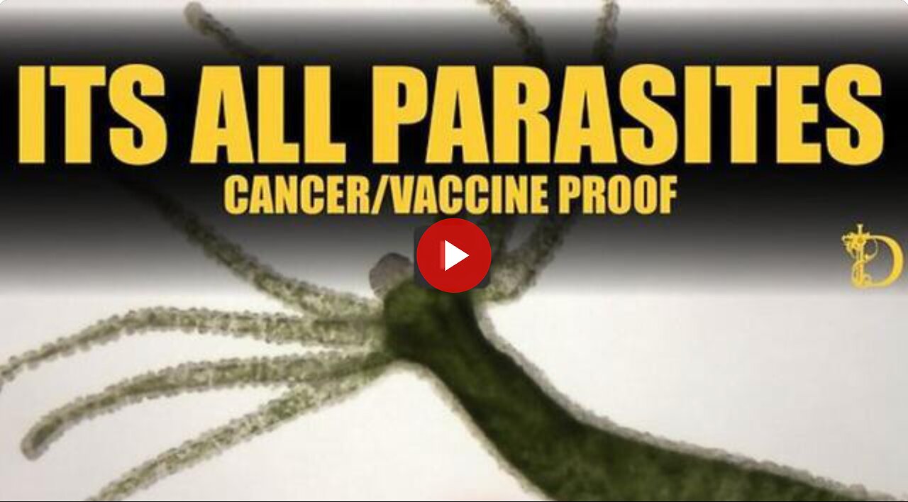 Dr LEE MERRITT & KAREN KINGSTON - Its All Parasites: Cancer / Vaccines / Remedies
