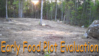 Early Food Plot Evaluation