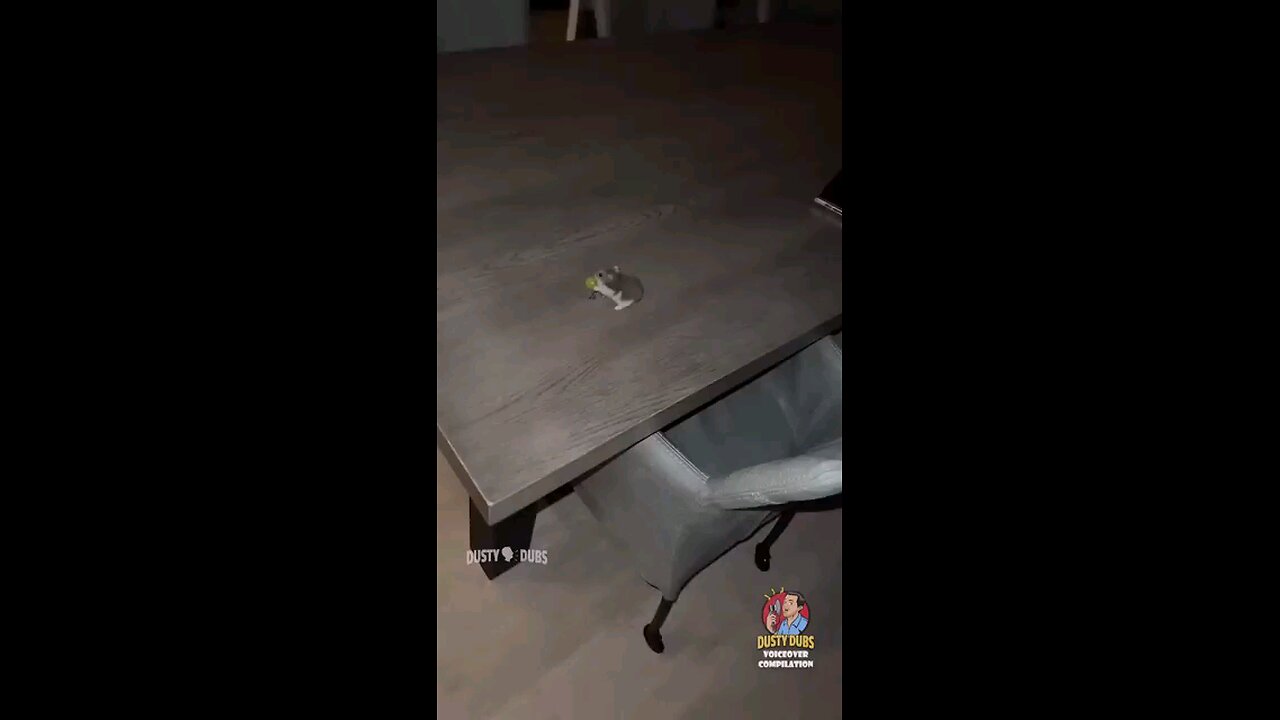 Extremely funny voice over 🤣