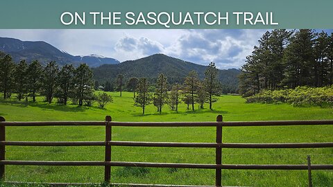 On the Sasquatch Trail