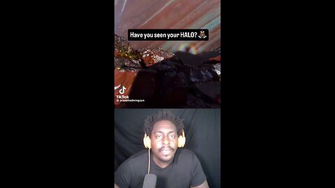 HAVE YOU SEEN YOUR HALO?