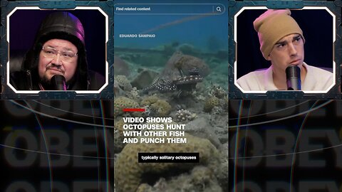 ⚠️Octopus are ALIENS training FISH as PETS & TRIANGLE UFOS⚠️