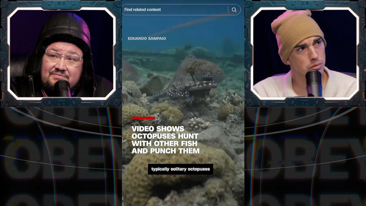 ⚠️Octopus are ALIENS training FISH as PETS & TRIANGLE UFOS⚠️