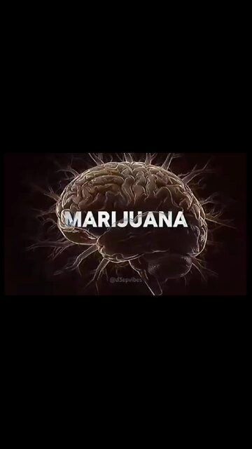 WhatdoIknow - MARIJUANA is a mirror 🪞 It doesn't change who you are - it AMPLIFIES who you are