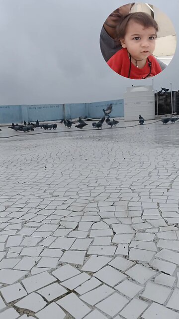 jivdaya mehsana YouTube short video