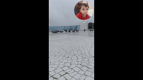 jivdaya mehsana YouTube short video