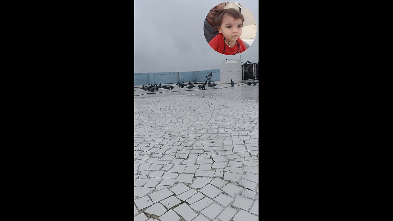 jivdaya mehsana YouTube short video