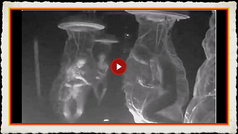 THE CLONING CENTERS DEAD FAMOUS CELEBRITIES AND HELL ON EARTH