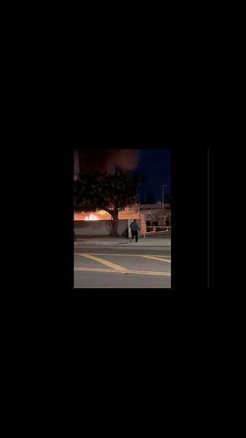 "Caught on Camera: Arsonists Ignite Fires in Santa Monica"