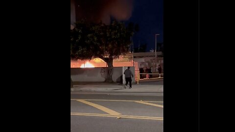"Caught on Camera: Arsonists Ignite Fires in Santa Monica"