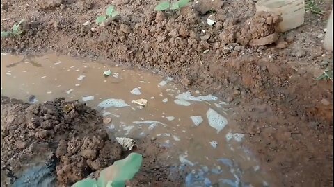Mini River Flows In Your Garden With Mini Water Dam | trending politics news debate entertainment