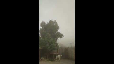 my village vedio