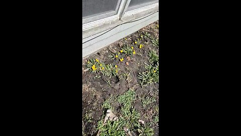 Exposing the dirty deeds of Easyknock Inc