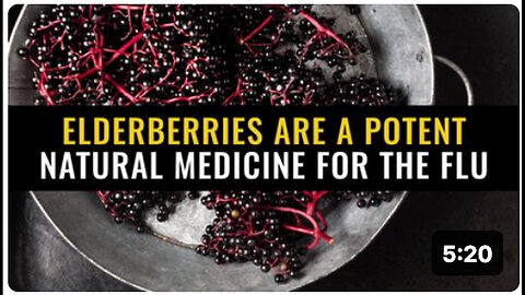 "Elderberries: A Potent Natural Flu Remedy"