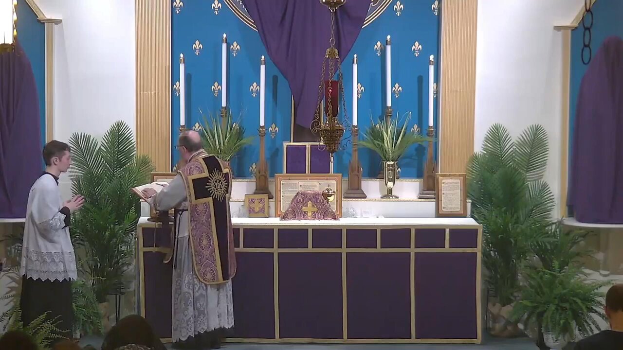 Traditional Latin Mass: Palm Sunday - 04/13/25