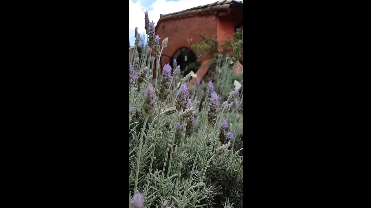 natural