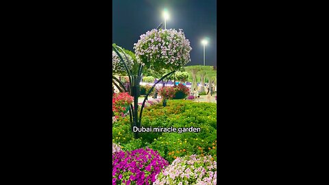 The miracle garden | Dubai | A Beautiful Garden 🪴 #dubai_dxb_uae #garden #luxury #dubaitiktok #love