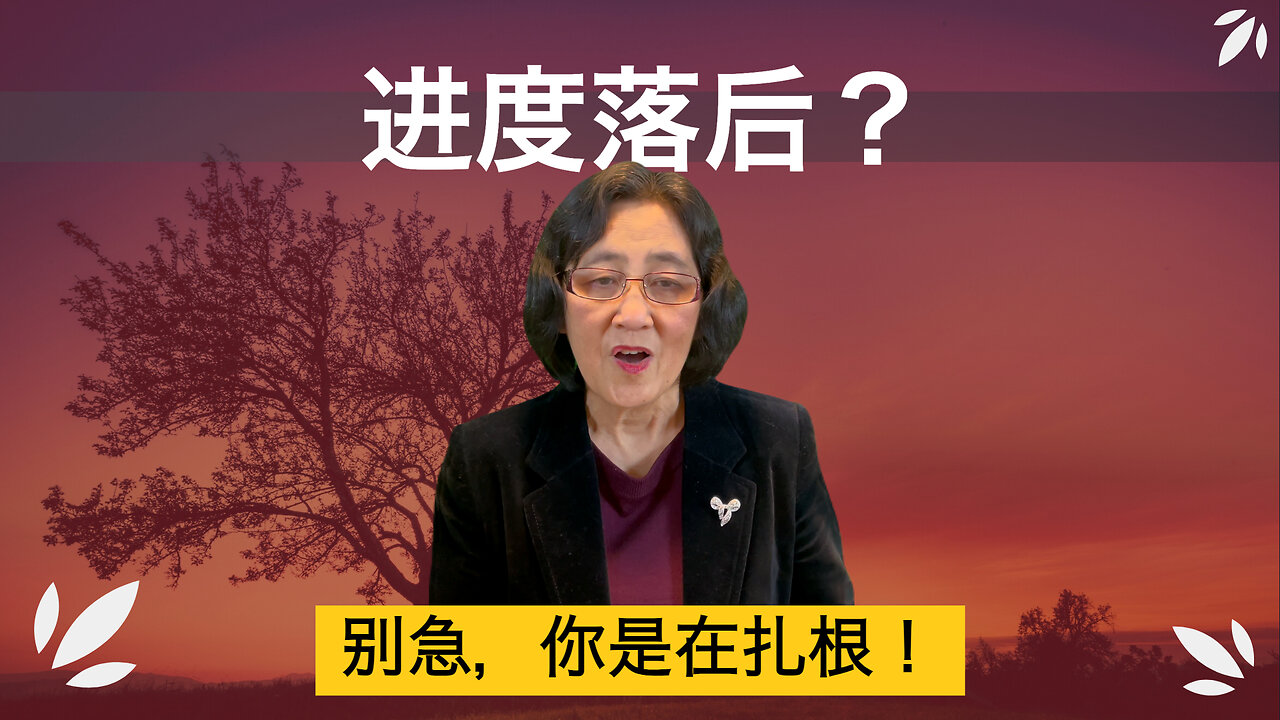 感觉落后？你仍在成长，这没关系