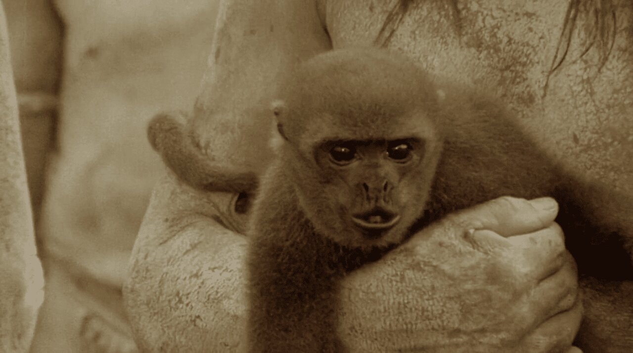 Videos That Will Shatter Your Reality Into Pieces