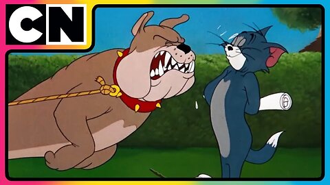 Looney Goes Haywire! | Looney Tunes Funny Video | Compilation | Cartoon for Kids