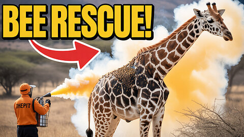 Bees Attack! Rescuers Save Giraffe Covered in Hive